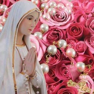 Meet your Posher, Olga